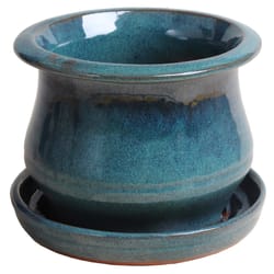 Trendspot Low Bell 5.3 in. H X 6.9 in. W X 6.9 in. D X 7 in. D Ceramic Planter Aqua Blue