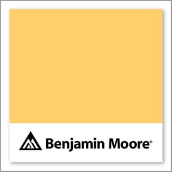 Benjamin Moore Nacho Cheese 2018-40