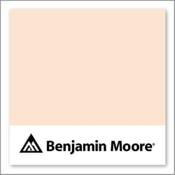 Benjamin Moore Sweet Salmon 2167-60