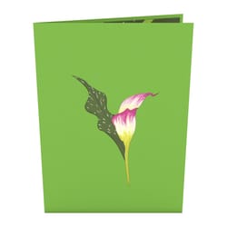 Lovepop Pink Calla Lily 3D Card Paper 1 pk