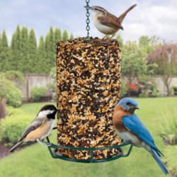 Kaytee All Wild Birds Fruit & Bug Seed Wild Bird Food 27.86 oz