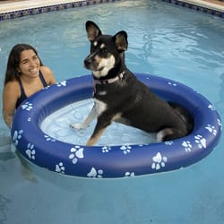 PoolCandy Blue PVC Inflatable Pet Float