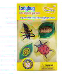 Insect Lore Ladybug Life Cycle Figurines Set Multicolored 4 pc