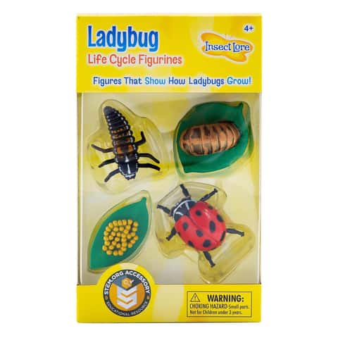 Insect Lore Ladybug Life Cycle Figurines Set Multicolored 4 pc