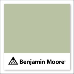 Benjamin Moore Lilly Pad 480
