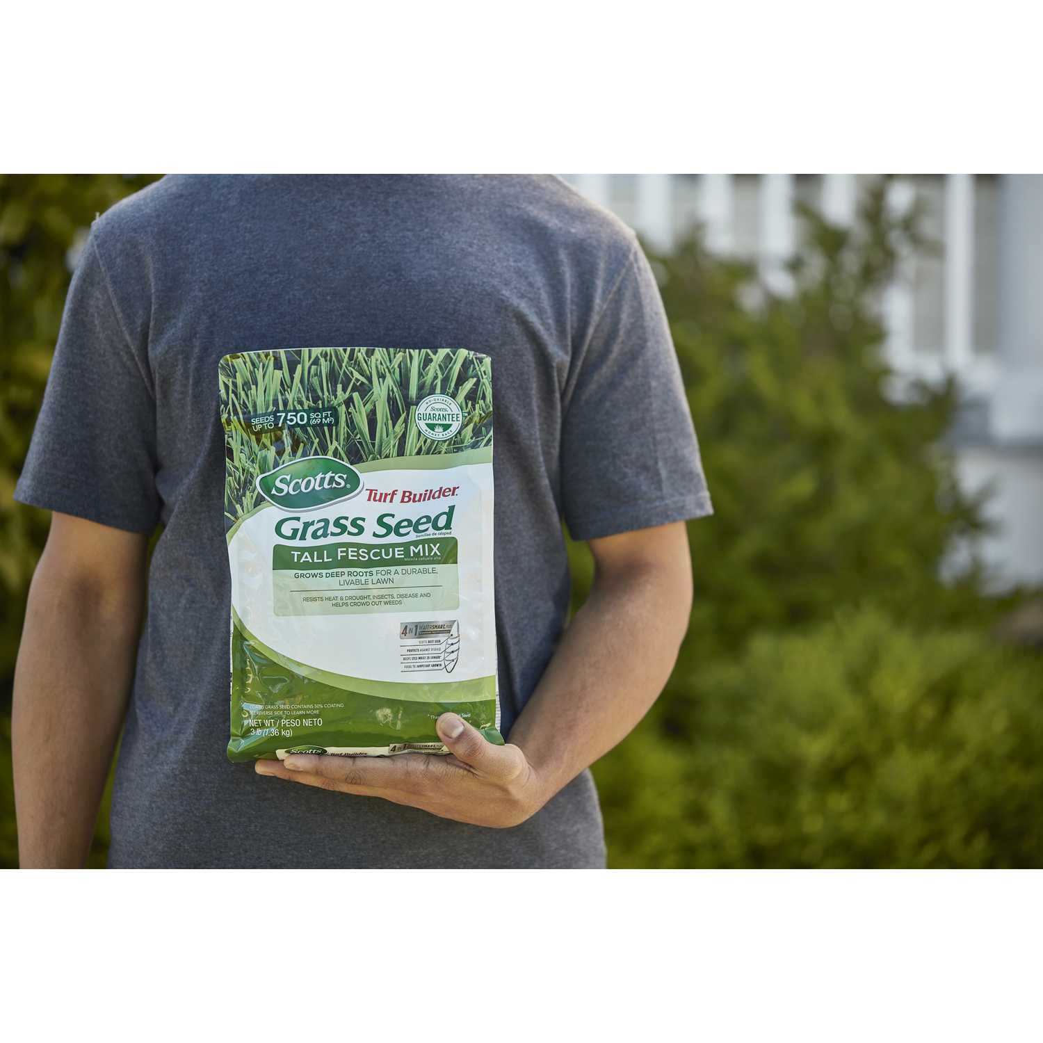 Scotts Turf Builder Tall Fescue Grass Seed 3 lb. - Ace Hardware
