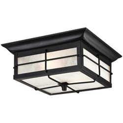 Westinghouse Switch Incandescent Matte Outdoor Light Fixture Hardwired