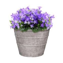 L&G Solutions 12 in. H X 16 in. D Polyresin Hamilton Planter Stone