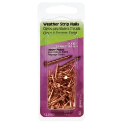 Maze Nails 6D 2 in. Slate Polished Copper Nail Flat Head 1 lb Maze Nails 6D 2 in. Slate Polished Copper Nail Flat Head 1 lb