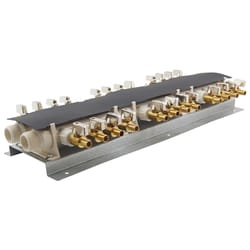 Apollo 1/2 in. PEX Barb in to X 1/2 in. D Barb Brass 24 Port Manifold