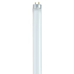 Satco 17 W T8 1 in. D X 23.78 in. L Fluorescent Bulb Cool White Linear 4100 K 1 pk