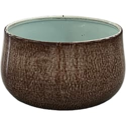 Robert Allen 4 in. D Steel Mini Bella Bowl Planter Spearmint