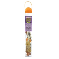 Safari Ltd. Toobs Ancient Fossils Toy 10 pc