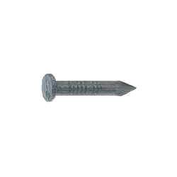 Grip-Rite 2-1/2 in. Masonry Tempered Hardened Steel Nail Flat Head 1 lb