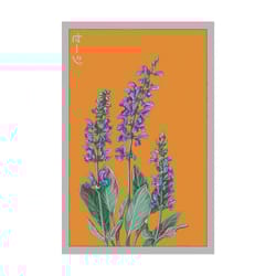 Chive Shido Seed Co. Sage Seeds 1 pk