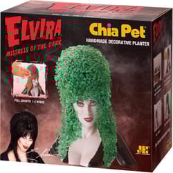 Chia Pet Elvira Decorative Planter Clay 1 pk