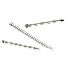 Simpson Strong-Tie 8D 2-1/2 in. Finishing Stainless Steel Nail Brad Head 5 lb