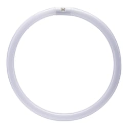 Feit Legacy Bulbs 40 W T9 15.9 in. D X 15.9 in. L Fluorescent Bulb Cool White Circular 4100 K 1 pk