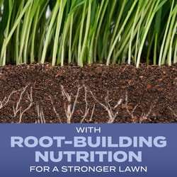 Scotts Turf Builder Heat-Tolerant Blue Sun or Shade Fertilizer/Seed/Soil Improver 5.6 lb