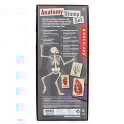 Kikkerland Anatomy Stamp Set Multicolored 21 pc
