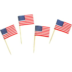 Chef Craft Multicolored Wood Toothpicks with USA Flag