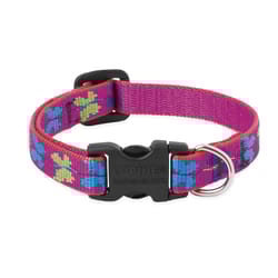 LupinePet Original Designs Multicolor Wing It Nylon Dog Adjustable Collar