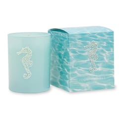 Primal Elements Blue Seahorse Scent Icon Candle/Gift Box