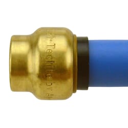 Apollo Tectite Push to Connect 1/2 in. PTC in to Brass Cap
