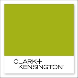 Clark+Kensington Snow Cone 25D-5