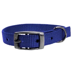 PDQ Blue Single Web Nylon Dog Adjustable Collar Small