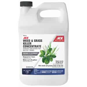 Ace  Concentrate  Weed and Grass Killer  1 gal. 