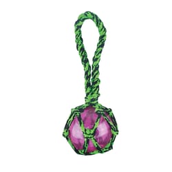 Boss Pet Pet Park Blvd Green Woven Paracord Rope with Squeaky Ball 1 pk