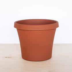 Bloem Terra 12.75 in. H X 10.25 in. W X 15 in. D Resin Traditional Planter Terracotta Clay