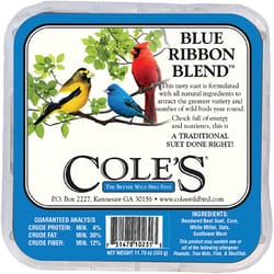 Cole's Blue Ribbon Blend Assorted Species Beef Suet Wild Bird Food 11.75 oz