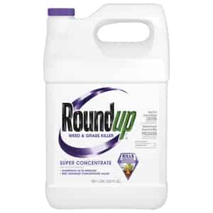 Roundup  Concentrate  Weed and Grass Killer  1 gal. 