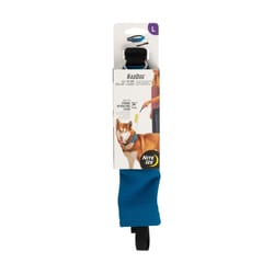 Nite Ize RadDog Blue Dog Collar and Leash Large