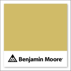 Benjamin Moore Mustard Field 377