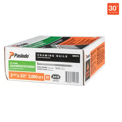 Paslode RounDrive 3-1/4 in. L Angled Strip Hot-Dip Galvanized Framing Nails 30 deg 2,000 pk