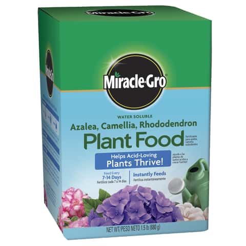 Miracle-Gro Powder Azalea, Camellia, Rhododendron Plant Food 1.5 lb - Ace  Hardware