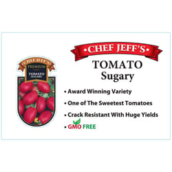 Chef Jeff Red Premium Sugary Tomato Vegetable Plant