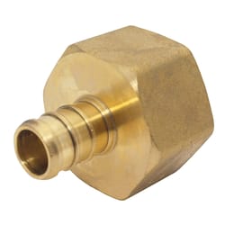 Apollo 1/2 in. PEX Barb in to X 3/4 in. D FPT Brass Adapter