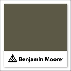 Benjamin Moore Cabbage Patch 2141-20