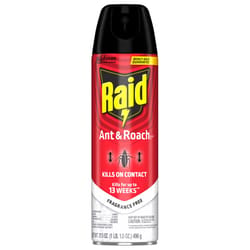 Raid Ant Killer Aerosol 17.5 oz