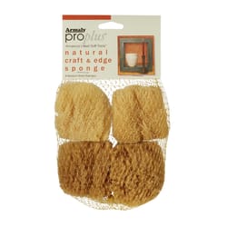 Armaly ProPlus 4.5 in. W X 4.5 in. L Beige Natural Sponge Faux/Artist Natural Sea Sponge