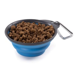 Dexas Blue Rubber 1 cups Pet Travel Feeder For All Pets