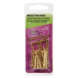 HILLMAN 1-1/4 in. Trim Brass-Plated Steel Nail Flat Head