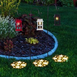 Alpine Multicolored Metal/Plastic 10 in. H Solar Garden Stake