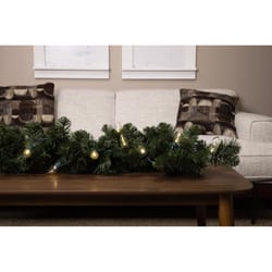 Celebrations Classic LED C9 Warm White 25 ct String Christmas Lights 16 ft.