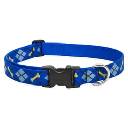 Lupine Pet Original Designs Multicolor Dapper Dog Nylon Dog Adjustable Collar