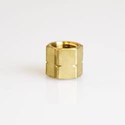 ATC 1/8 in. FPT Brass Cap